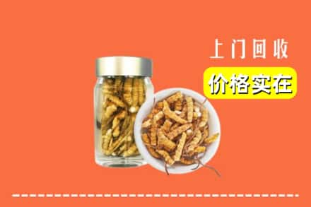 盐城市阜宁回收散虫草
