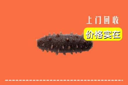 盐城市阜宁回收海参
